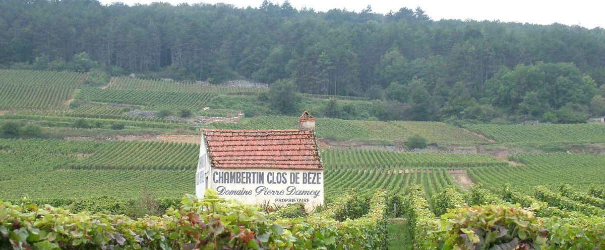 Domaine Pierre Damoy Domaine Pierre Damoy