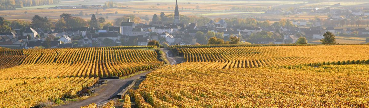 Domaine Philippe Chavy Domaine Philippe Chavy