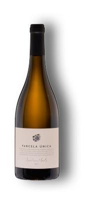 Anselmo Mendes, Parcela Unica, 2021