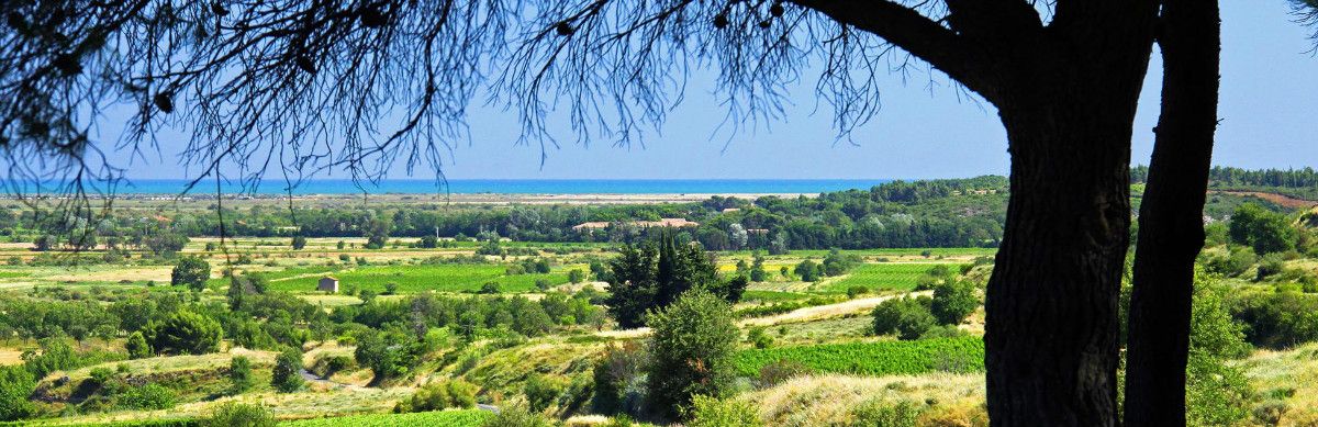 Les Vignobles Foncalieu Les Vignobles Foncalieu