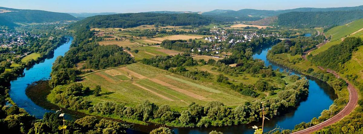 Weingut Van Volxem Weingut Van Volxem