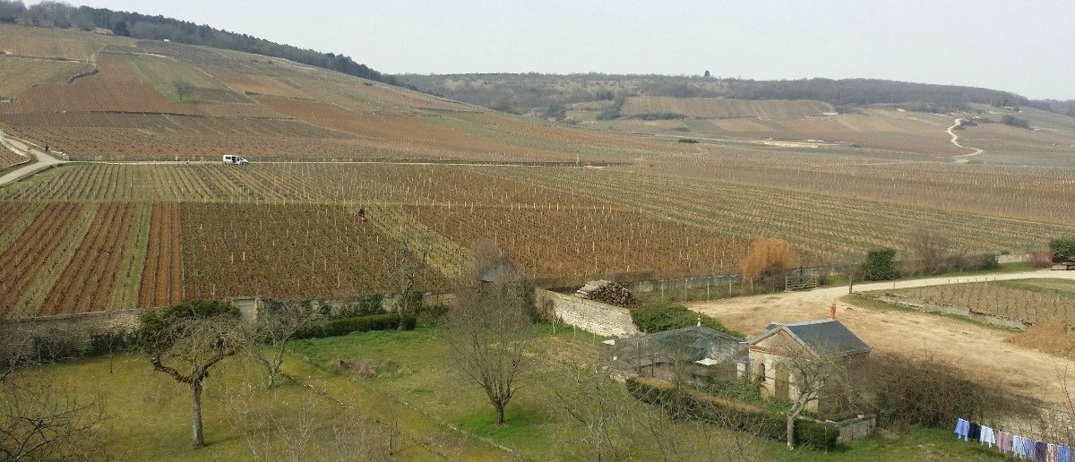 Domaine Gros Freres et Soeurs Domaine Gros Freres et Soeurs