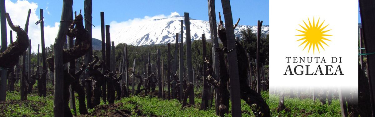 TENUTA DI AGLAEA / ТЕНУТА ДИ АГЛАЕ