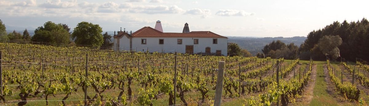 Quinta da Pellada Quinta da Pellada